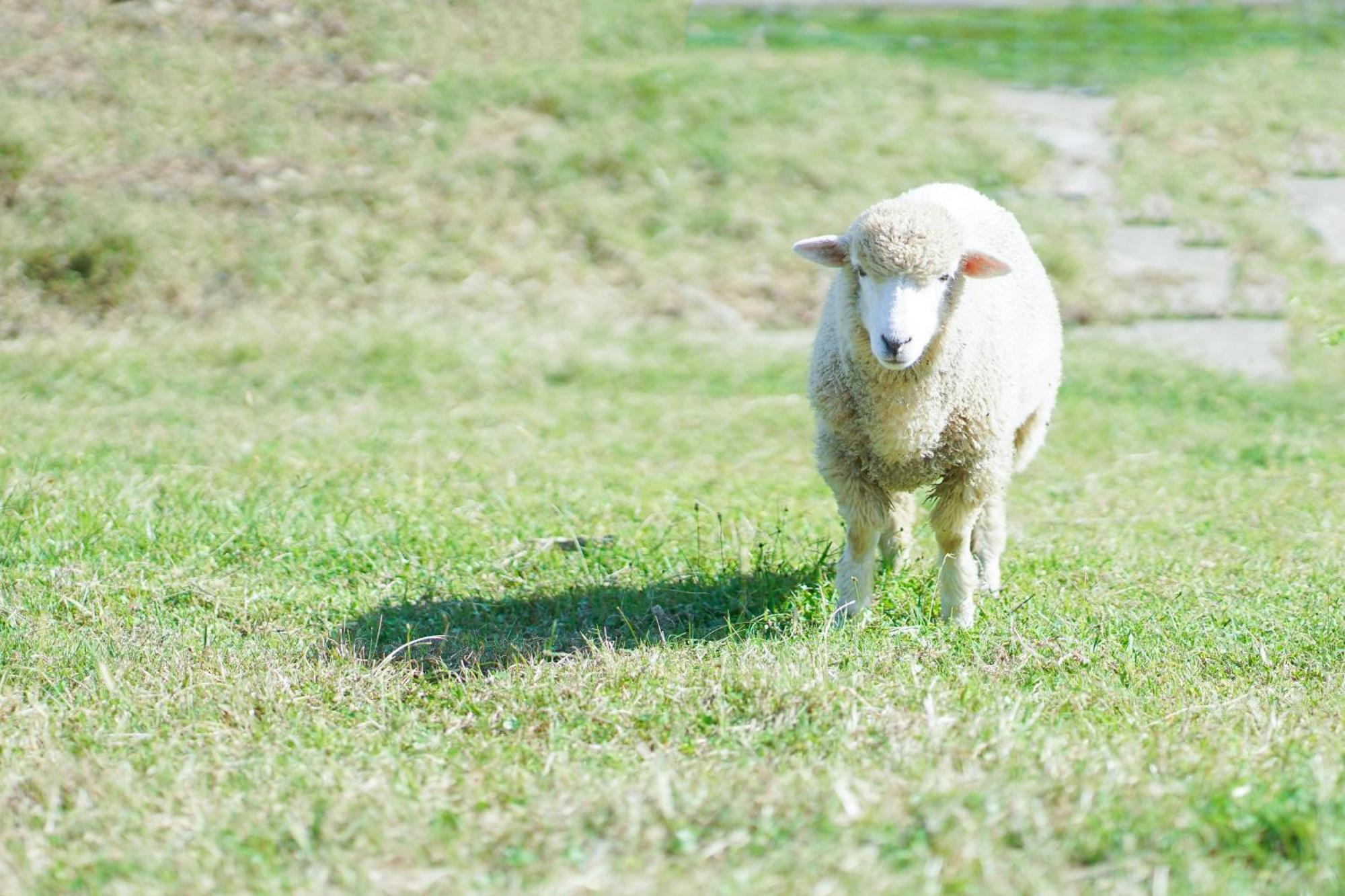 舞鶴 ふる a Ferm Cotergi Villa Maizuru Luaran gambar